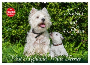 Starick, Sigrid. Kobold auf 4 Pfoten - West Highland White Terrier (Wandkalender 2024 DIN A2 quer), CALVENDO Monatskalender - West Highland White Terrier begleiten auf bezaubernden Fotos durch das Jahr. Calvendo, 2023.