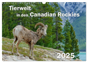Tierwelt in den Canadian Rockies (Wandkalender 2025 DIN A3 quer), CALVENDO Monatskalender