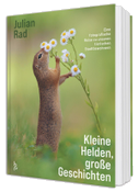 Kleine Helden - große Geschichten
