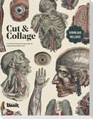 Cut and Collage A Treasury of Vintage Anatomy Images for Collage and Mixed Media Artists