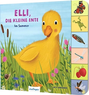 Kiel, Anja. Mein erstes Jahreszeitenbuch: Elli, die kleine Ente - Im Sommer | Pappebuch mit Griff-Register. Esslinger Verlag, 2023.