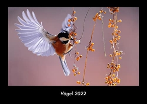 Tobias Becker. Vögel 2022 Fotokalender DIN A3 - Monatskalender mit Bild-Motiven von Haustieren, Bauernhof, wilden Tieren und Raubtieren. Vero Kalender, 2021.