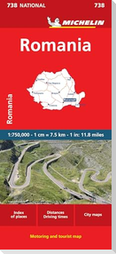 Michelin Rumänien (738)