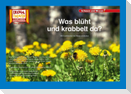 Kamishibai: Was blüht und krabbelt da?