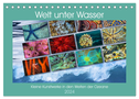 Kleine Kunstwerke in den Weiten der Ozeane (Tischkalender 2024 DIN A5 quer), CALVENDO Monatskalender