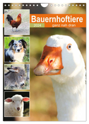 Bauernhoftiere, ganz nah dran (Wandkalender 2024 DIN A4 hoch), CALVENDO Monatskalender