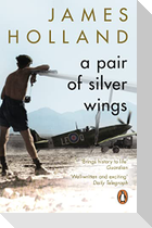 A Pair of Silver Wings