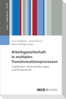 Arbeitsgesellschaft in multiplen Transformationsprozessen