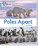 BIG CAT L&S_POLES APART