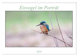 Hirschfeld, Noreen. Eisvogel im Porträt (Wandkalender 2024 DIN A3 quer), CALVENDO Monatskalender - Fotoaufnahmen des "fliegenden Edelsteins". Calvendo, 2023.