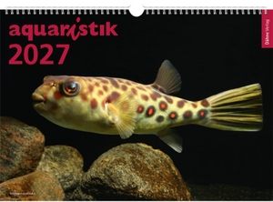 Konn-Vetterlein, Daniel. aquaristik 2027 - Foto-Wandkalender. Daehne Verlag, 2026.