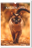 Katzen 2027