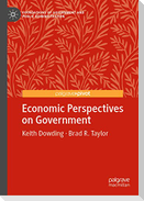 Economic Perspectives on Government