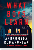 What Boys Learn