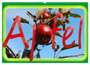 Apfel (Wandkalender 2024 DIN A2 quer), CALVENDO Monatskalender
