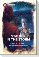 Stalker in the Storm