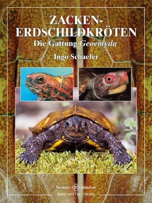 Schäfer, Ingo. Zacken-Erdschildkröten. NTV Natur und Tier-Verlag, 2005.