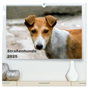 Straßenhunde (hochwertiger Premium Wandkalender 2025 DIN A2 quer), Kunstdruck in Hochglanz