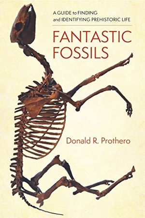 Prothero, Donald R.. Fantastic Fossils - A Guide to Finding and Identifying Prehistoric Life. Columbia University Press, 2022.