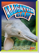 Alligator Gar