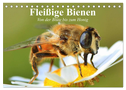 Fleißige Bienen. Von der Blüte bis zum Honig (Tischkalender 2024 DIN A5 quer), CALVENDO Monatskalender