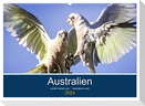 Australien - einfach tierisch gut (Wandkalender 2024 DIN A2 quer), CALVENDO Monatskalender