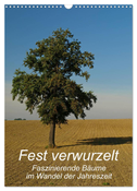 Fest verwurzelt - Faszinierende Bäume im Wandel der Jahreszeit (Wandkalender 2025 DIN A3 hoch), CALVENDO Monatskalender