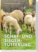 Schaf- und Ziegenfütterung