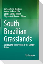 South Brazilian Grasslands
