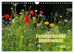 Seidel, Thilo. Farbenprächtige Blumenwiese (Wandkalender 2024 DIN A4 quer), CALVENDO Monatskalender - Blütenreichtum in farbiger Vielfalt. Calvendo, 2023.