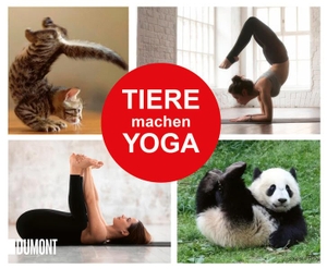 Tiere machen Yoga. DuMont Buchverlag GmbH, 2026.