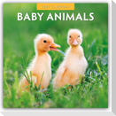 Baby Animals - Tierkinder - Tierbabys 2027 - 16-Monatskalender