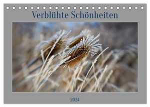 Spiess, Petra. Verblühte Schönheiten (Tischkalender 2024 DIN A5 quer), CALVENDO Monatskalender - Die Ästhetik verblühter Pflanzen. Calvendo, 2023.