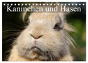 Kaninchen und Hasen (Tischkalender 2025 DIN A5 quer), CALVENDO Monatskalender