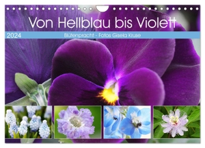 Kruse, Gisela. Von Hellblau bis Violett Blütenpracht (Wandkalender 2024 DIN A4 quer), CALVENDO Monatskalender - Blaue, lila und violette Blumenschätze. Calvendo, 2023.