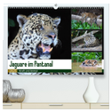 Jaguare im Pantanal (hochwertiger Premium Wandkalender 2025 DIN A2 quer), Kunstdruck in Hochglanz