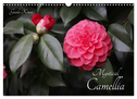 Mystical Camellia (Wall Calendar 2024 DIN A3 landscape), CALVENDO 12 Month Wall Calendar