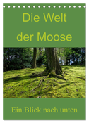 Die Welt der Moose. Ein Blick nach unten (Tischkalender 2024 DIN A5 hoch), CALVENDO Monatskalender