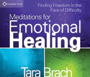 Brach, Tara. Meditations for Emotional Healing - Finding Freedom in the Face of Difficulty. MacMillan Audio, 2009.