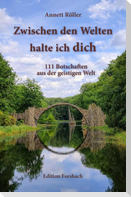 Zwischen den Welten halte ich dich