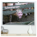 Schweinereien (hochwertiger Premium Wandkalender 2025 DIN A2 quer), Kunstdruck in Hochglanz