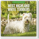 West Highland White Terriers - West Highland White Terrier - Westie 2027 - 16-Monatskalender