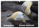 Galapagos. Fauna hautnah (Wandkalender 2024 DIN A3 quer), CALVENDO Monatskalender