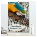 Kunterbunter Papageien-Planer (hochwertiger Premium Wandkalender 2025 DIN A2 hoch), Kunstdruck in Hochglanz