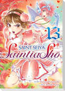 Saint Seiya: Saintia Sho Vol. 13