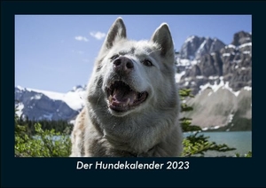 Tobias Becker. Der Hundekalender 2023 Fotokalender DIN A5 - Monatskalender mit Bild-Motiven von Haustieren, Bauernhof, wilden Tieren und Raubtieren. Vero Kalender, 2022.