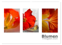 Blumen Trilogien (Wandkalender 2025 DIN A2 quer), CALVENDO Monatskalender