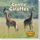Gentle Giraffes