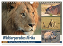 Wildtierparadies Afrika - Eine Foto-Reise durch die Savannen (Wandkalender 2025 DIN A4 quer), CALVENDO Monatskalender
