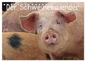 Schmutzler-Schaub, Christine. Der Schweinekalender (Tischkalender 2025 DIN A5 quer), CALVENDO Monatskalender - Glückliche Schweine in artgerechter Haltung, sowohl verschiedene alte Hausschweinrassen als auch Wildschweine in ihrer natürlichen Umgebung. Calvendo, 2024.